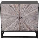 Astral Plains 2 Door Accent Cabinet in Reclaimed Grey Wash Wood